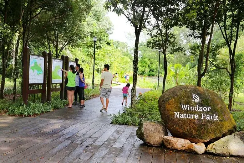 Windsor Nature Park - Hiking Trails Singapore